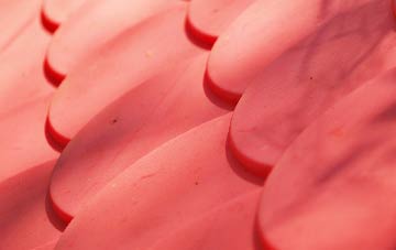 Bradfield plastic roof costs